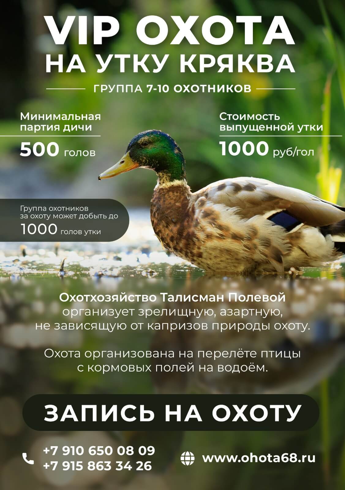 VIP охота на утку кряква на искусственном перелёте птицы, Тамбовская область